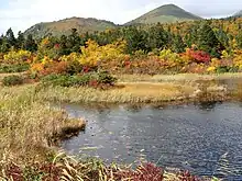 八甲田山中的睡蓮沼
