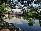 公園池塘