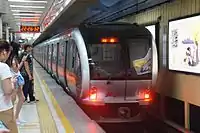 SFM04型G446号车组停靠于大望路站