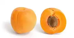 杏Apricot