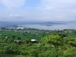 5 - 阿瓦薩