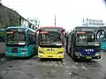 2009年拍摄的102路“苗苗模范车组”