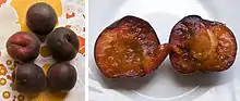 紫杏Purple apricot