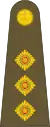 英國陸軍上尉肩章