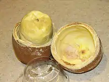 古布阿蘇（英语：）Cupuacu