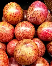 「恐龍蛋」'Dapple Dandy' pluot