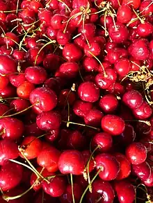 歐洲甜櫻桃Sweet cherry
