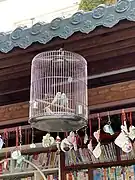 书廊屋檐下笼子里的鹦鹉