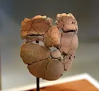 以人類頭骨為模型的石膏臉。來自安加扎勒。公元前6500年。