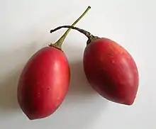 樹番茄Tamarillo