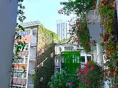 B栋教学楼及其所连接的廊桥